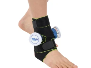ma w646 1.webp